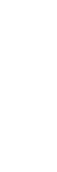 Blacksmith